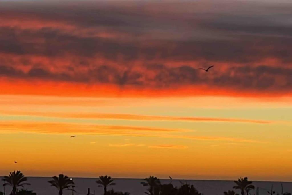 Vinaros Coquet Appartement Vue Mer المظهر الخارجي الصورة